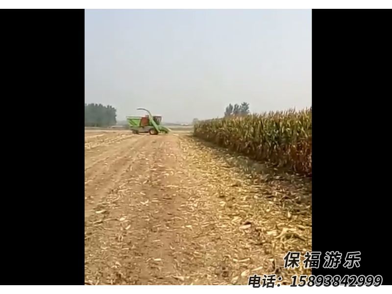 4YZB-4自走式穗茎兼收玉米收获机