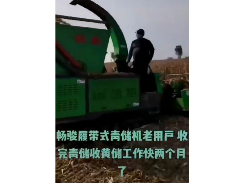 4QZL-8履带式青饲料收获机收割黄储中